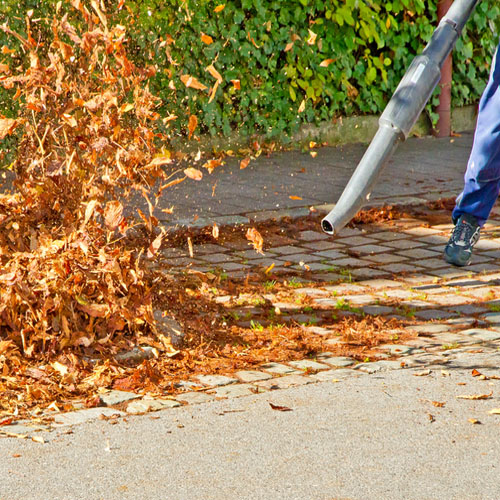 leaf blowing